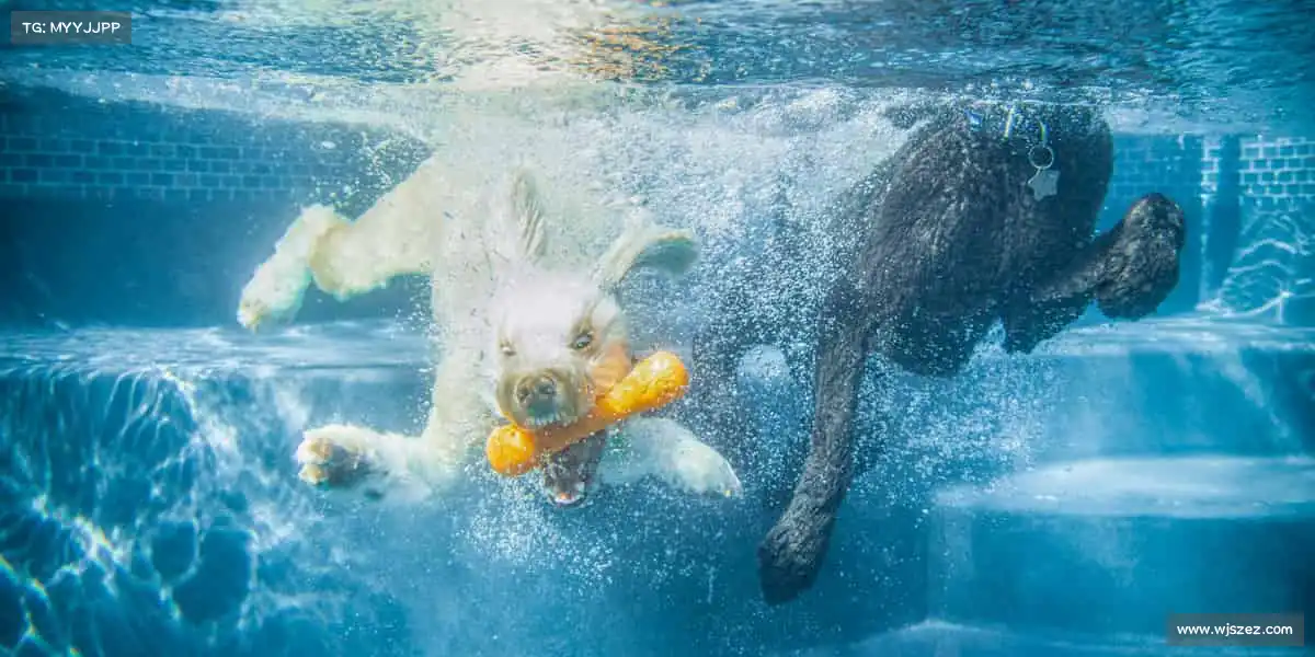 我们的核心竞争力